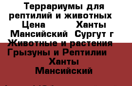 Террариумы для рептилий и животных › Цена ­ 500 - Ханты-Мансийский, Сургут г. Животные и растения » Грызуны и Рептилии   . Ханты-Мансийский